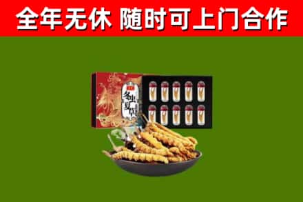 陆川县回收冬虫夏草价格